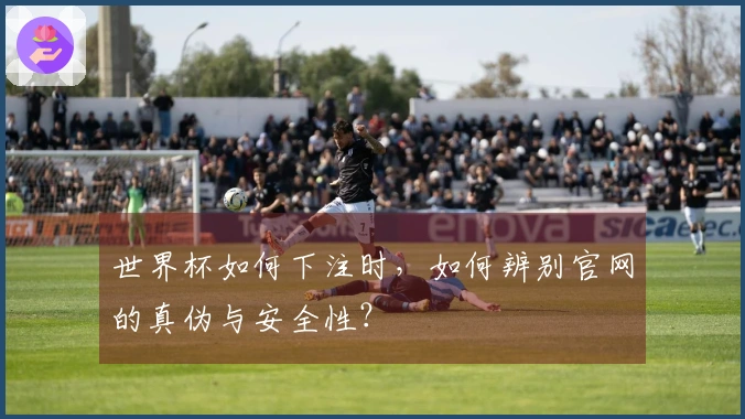 世界杯如何下注时，如何辨别官网的真伪与安全性？