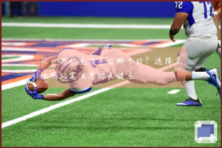 买世界杯竞猜平台哪个好？选择正规网站需注意的关键点