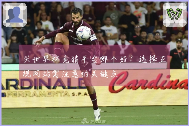 买世界杯竞猜平台哪个好？选择正规网站需注意的关键点